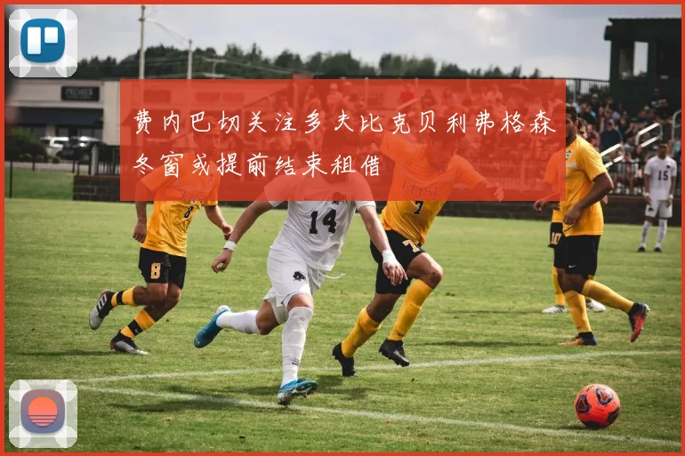 费内巴切关注多夫比克贝利弗格森冬窗或提前结束租借
