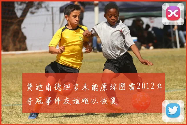 费迪南德坦言未能原谅图雷2012年夺冠事件友谊难以恢复