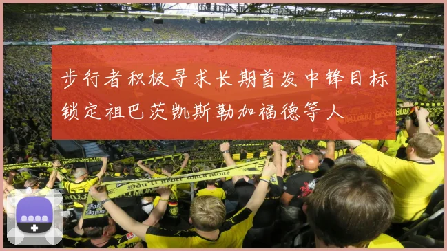 步行者积极寻求长期首发中锋目标锁定祖巴茨凯斯勒加福德等人