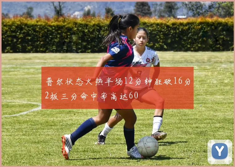 普尔状态火热半场12分钟狂砍16分2板三分命中率高达60