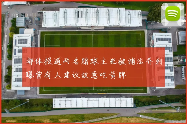 都体报道两名赌球主犯被捕法乔利曝曾有人建议故意吃黄牌