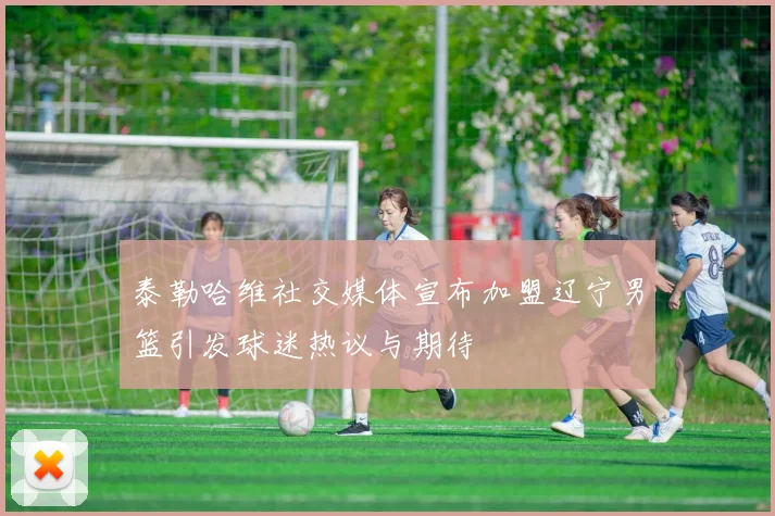 泰勒哈维社交媒体宣布加盟辽宁男篮引发球迷热议与期待